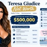 Teresa Giudice Net Worth